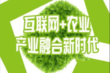 互联网农业到底该做什么？